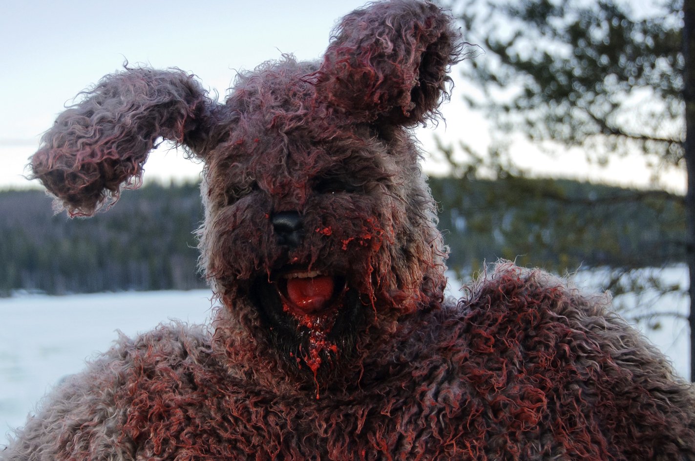 JOONAS MAKKONEN - BUNNY UND SEIN KILLERDING