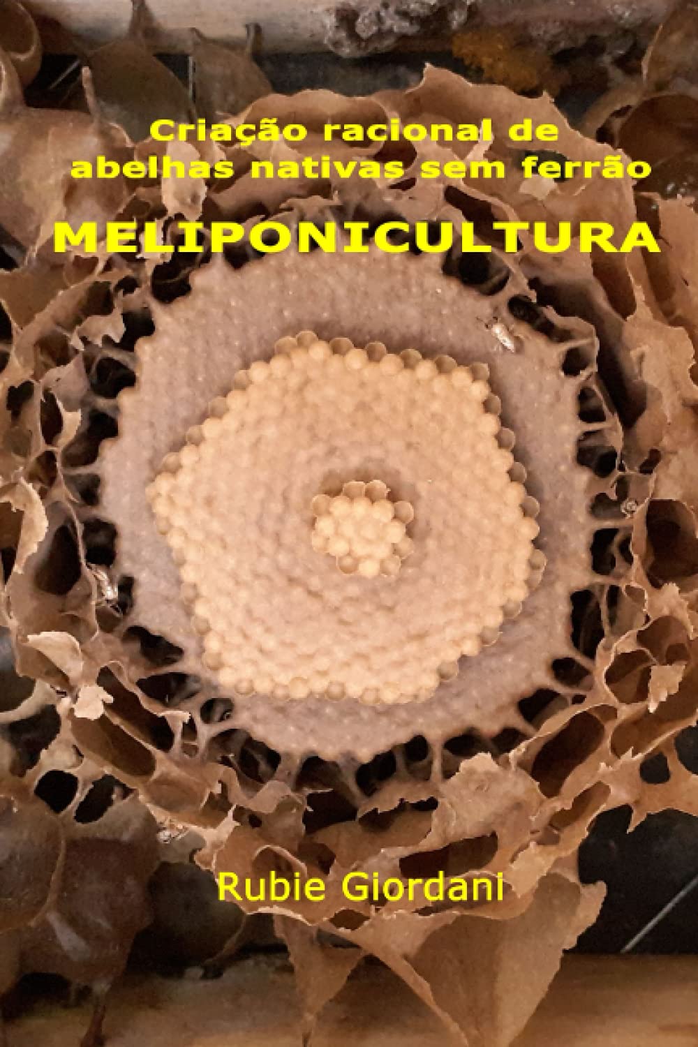 Criação racional de abelhas nativas sem ferrão