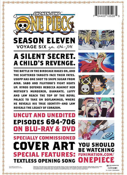 One Piece: Season 11, Voyage Six
