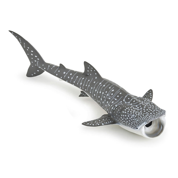 PAPO Marine Life Whale Shark Toy Figure, Grey/White (56039)