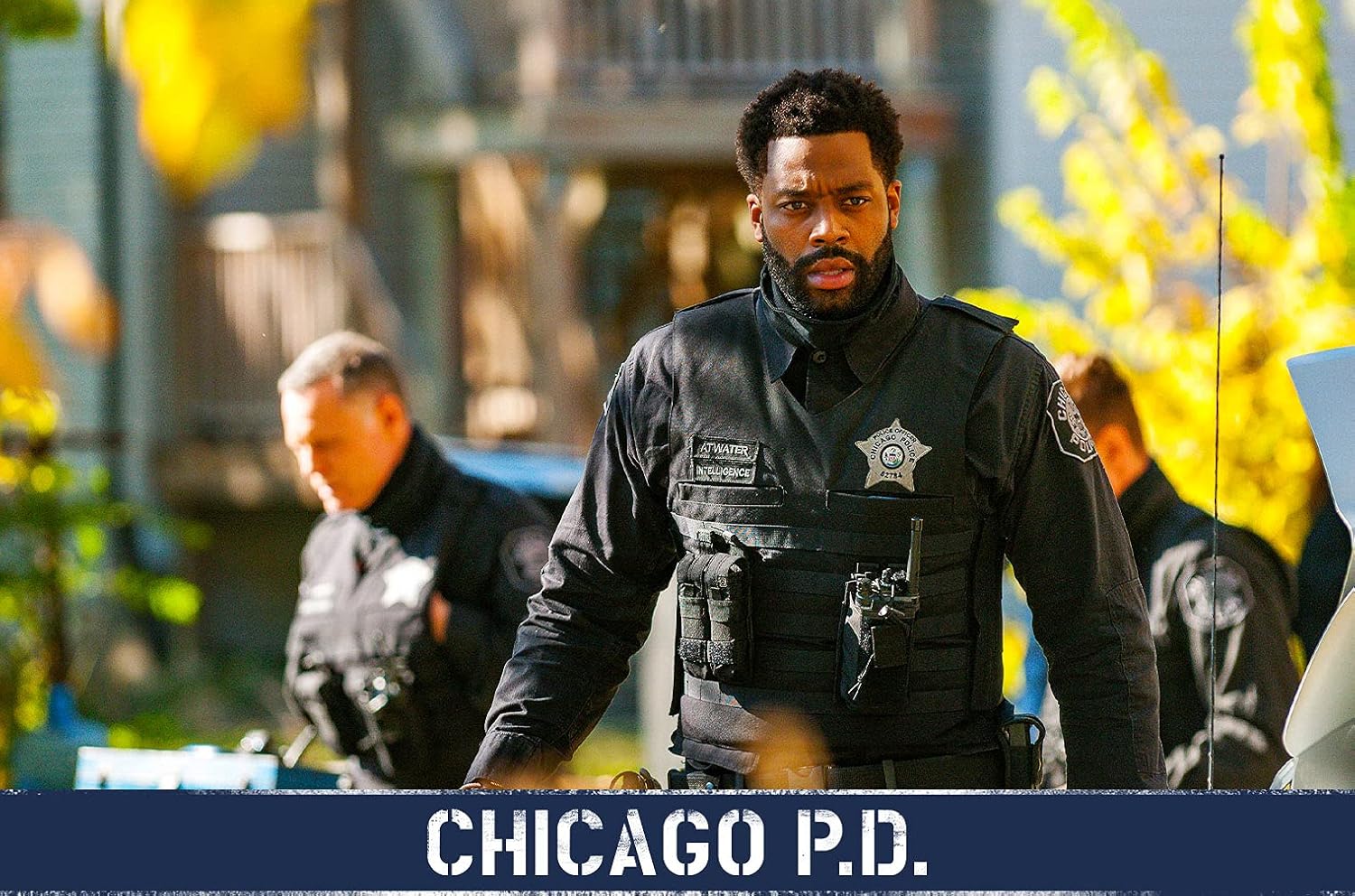 Chicago P.D. - Season 8