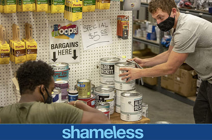 Shameless - Die komplette 11. Staffel