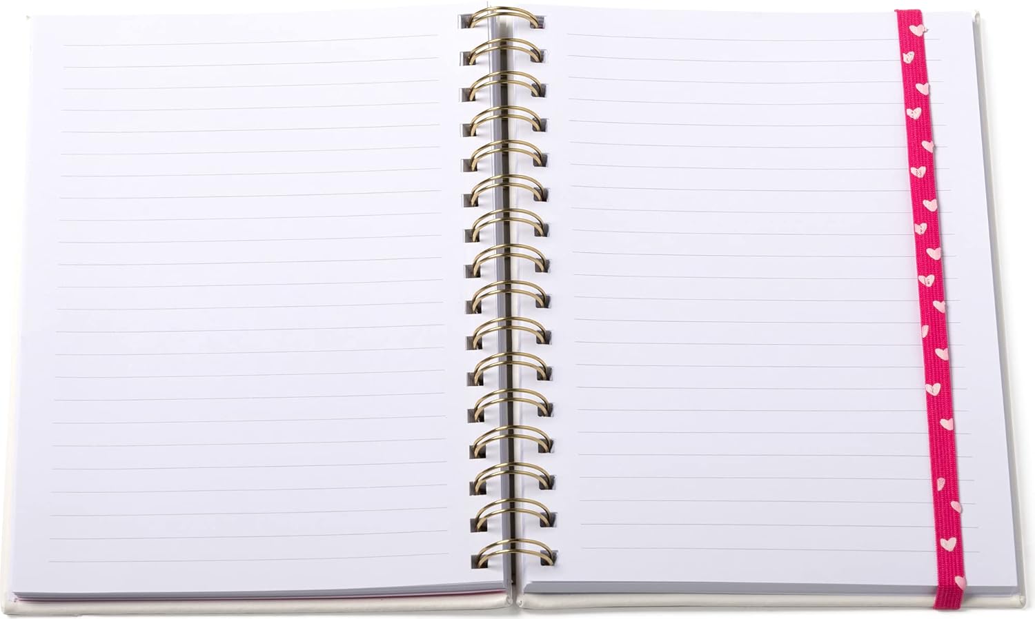 Eccolo World Traveler Dayna Lee Collection Wirebound Hard Cover Lined Journal Notebook, 200 Pages, Acid-Free Lined Sheets, Elastic Band Closure, You are The Sunshine, M