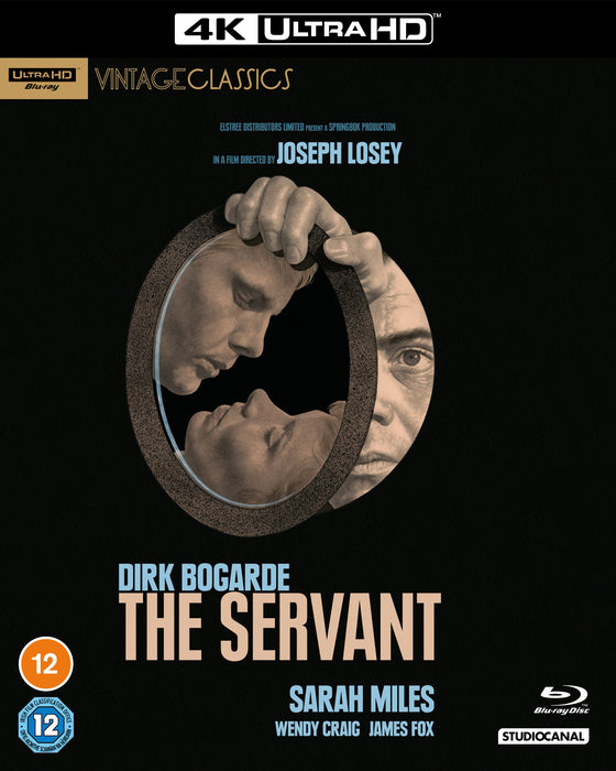 The Servant (Vintage Classics)