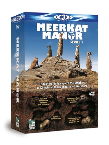 Meerkat Manor: Series 1