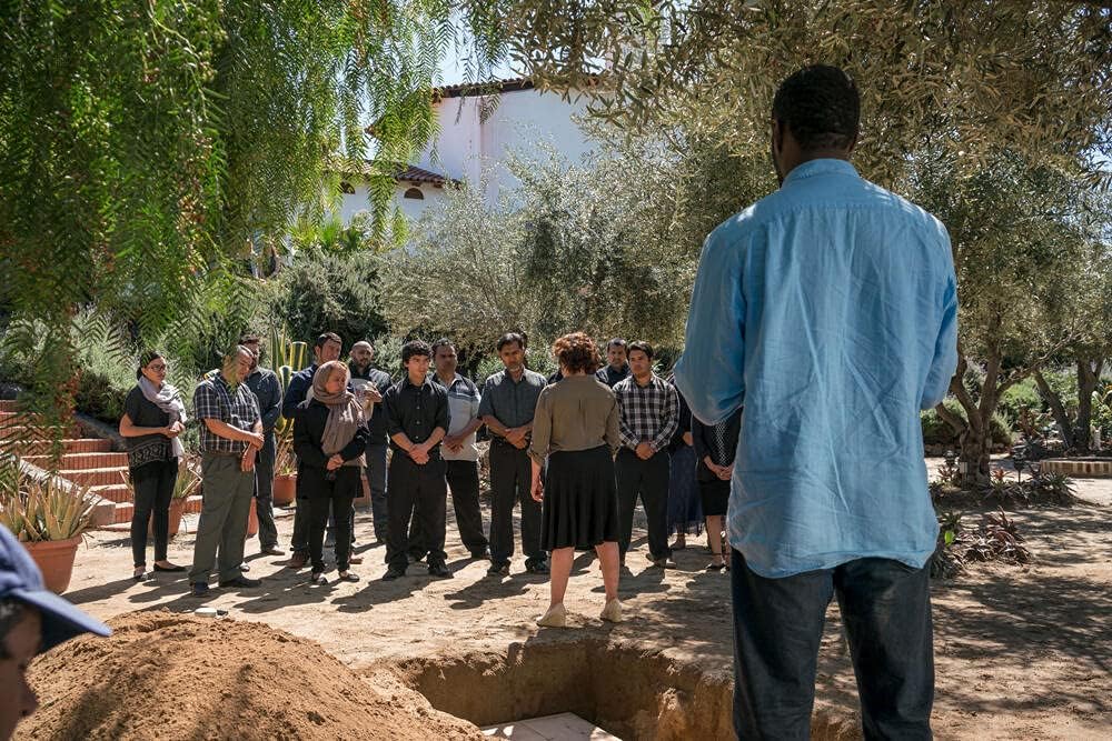 FEAR THE WALKING DEAD - LINT