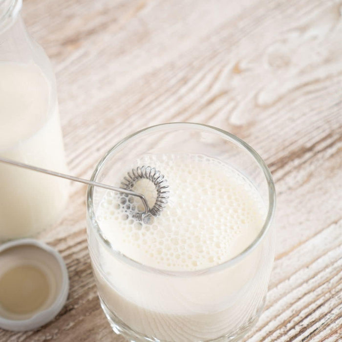 Fackelmann 42317 Plastic/Stainless Steel Milk Foamer, Black/White/Silver 19.5 x 3.5 x 2.5 cm Black/White/Silver