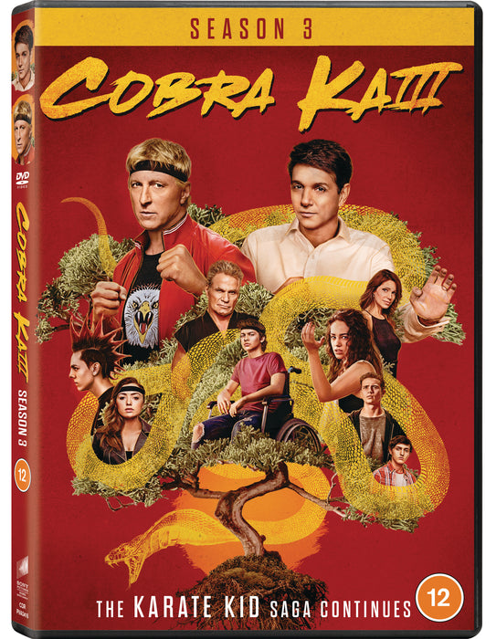 Cobra Kai: Season 3