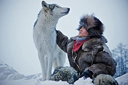 Wolf ( Loup )