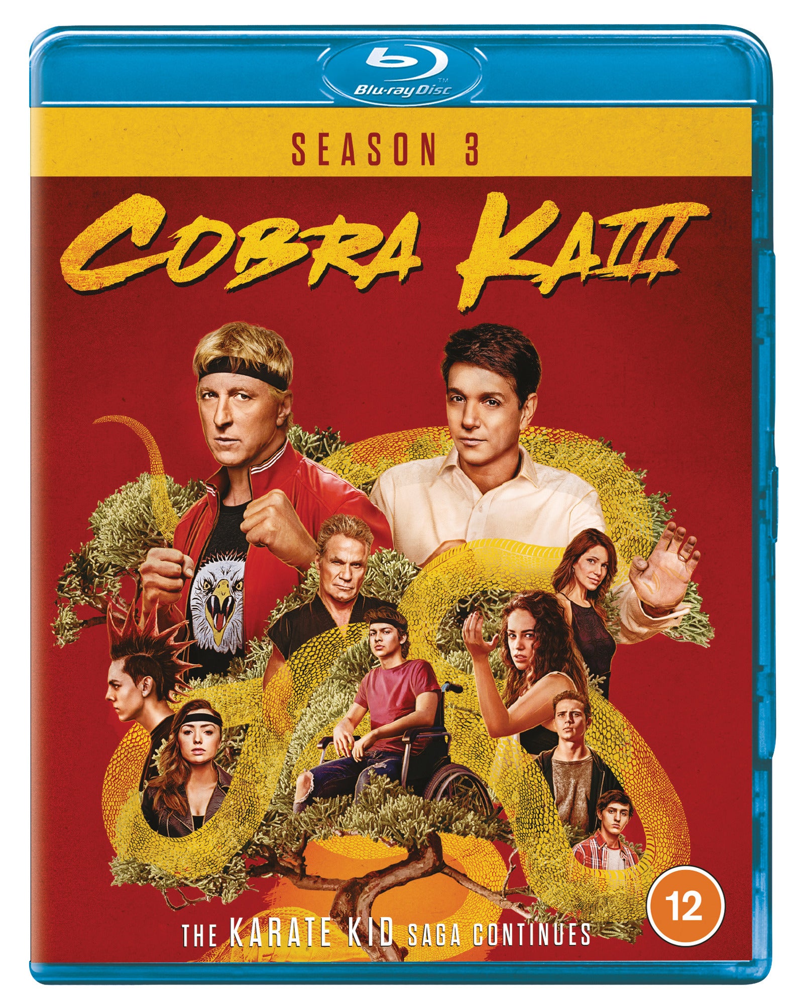 Cobra Kai: Season 3