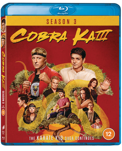 Cobra Kai: Season 3