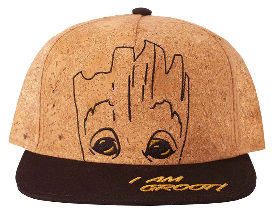 Difuzed Boy's Baseball Cap, Brown, One Size