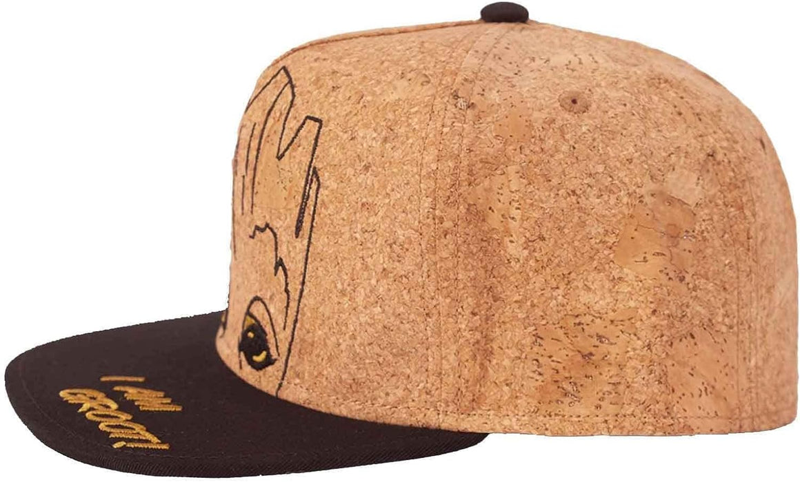 Difuzed Boy's Baseball Cap, Brown, One Size