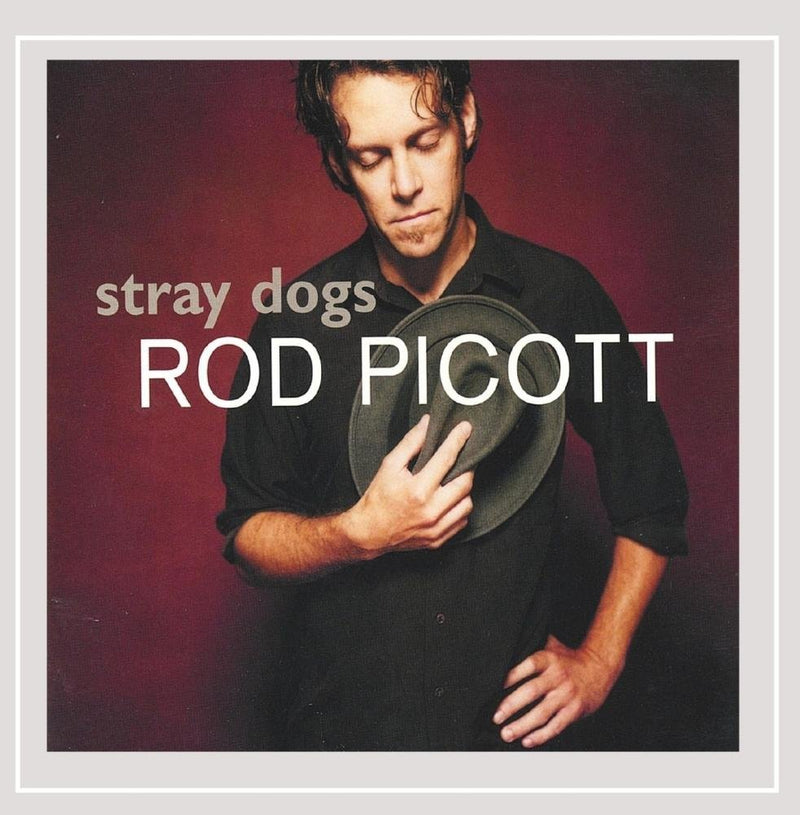 Stray Dogs