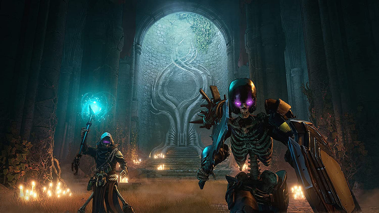 Tiny Tina's Wonderlands: Next Level Edition (PS5) Standard