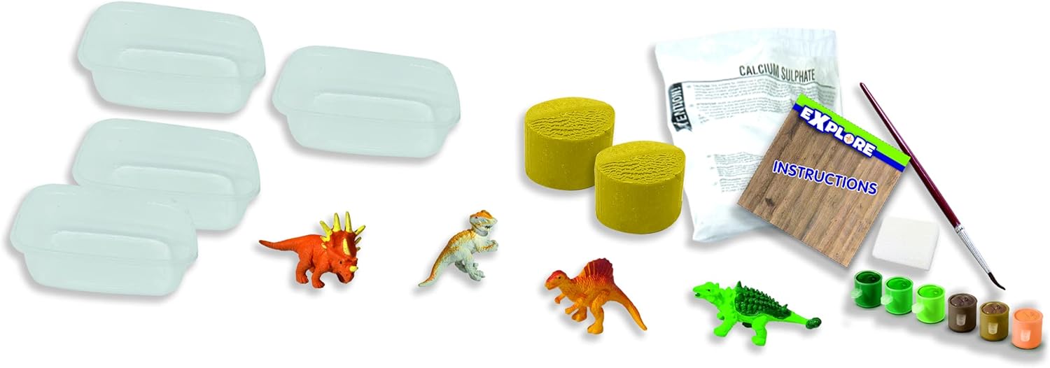 SES Creative- Dinosaur Fósiles de Dinosaurio, Medium (25077