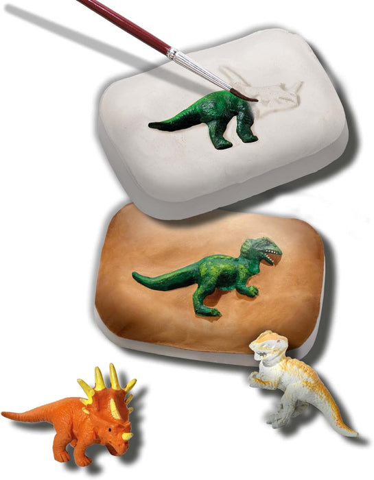 SES Creative- Dinosaur Fósiles de Dinosaurio, Medium (25077