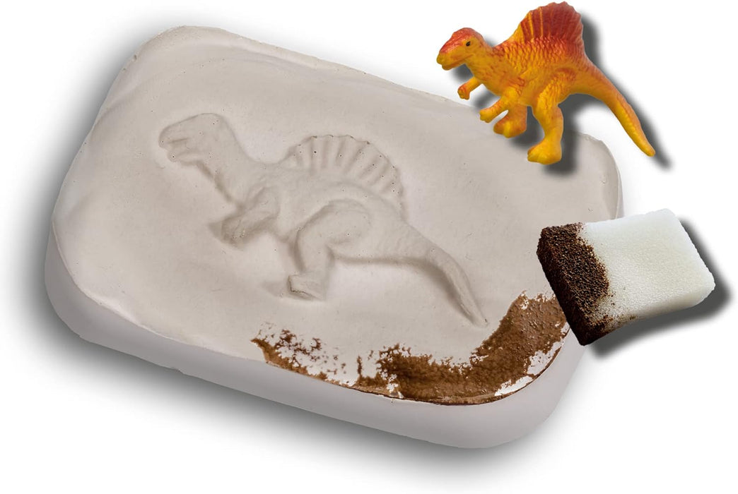 SES Creative- Dinosaur Fósiles de Dinosaurio, Medium (25077