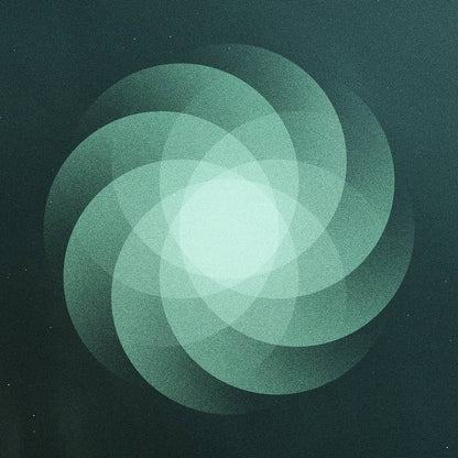 The Shape of Everything