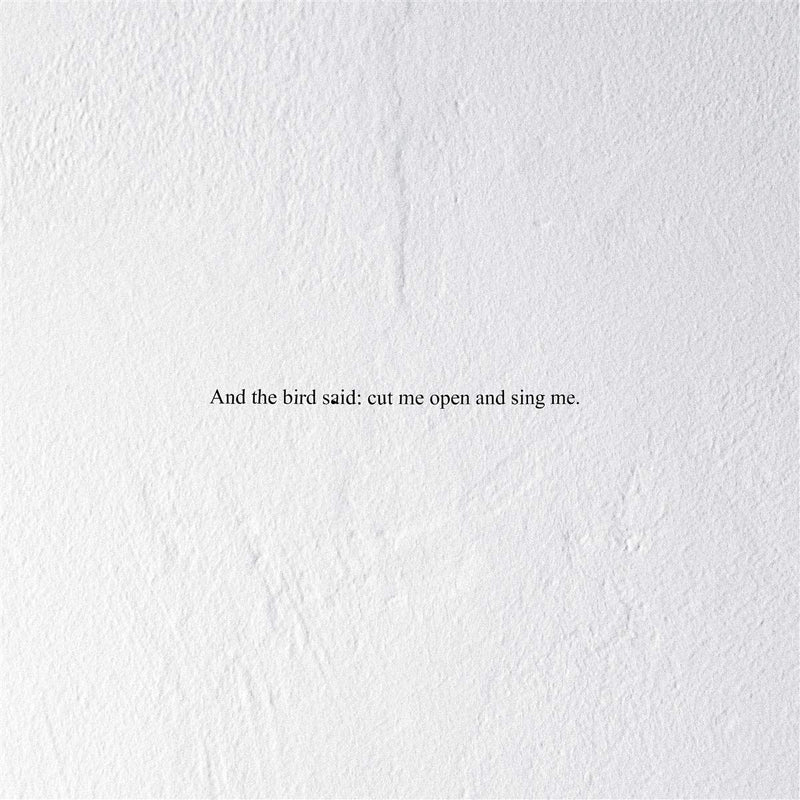 And The Bird Said: Cut Me Open And Sing Me (Indie Exclusive, Clear Vinyl)