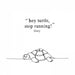 Hey Turtle, Stop Running!