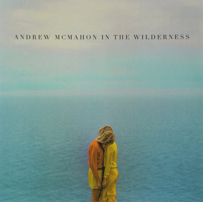 Andrew McMahon In The Wilderness