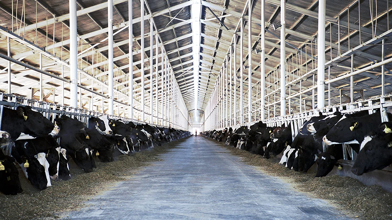 Das System Milch (Prädikat: Wertvoll