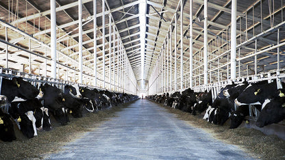 Das System Milch (Prädikat: Wertvoll