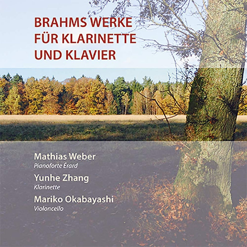 Werke Für Klarinette und Pianoforte