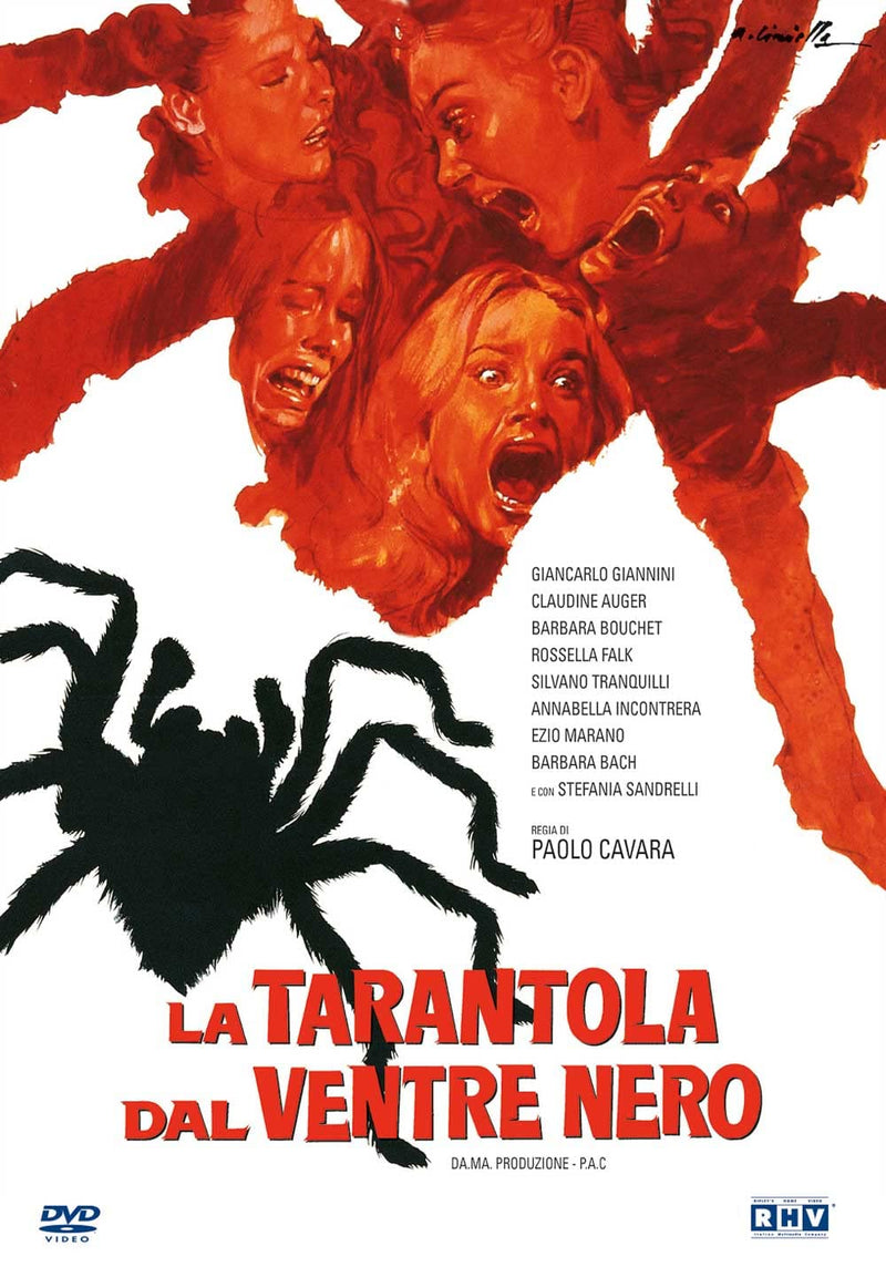 Tarantola Dal Ventre Nero (La