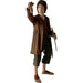 Diamond Select Toys The Lord of The Rings: Frodo Action Figure