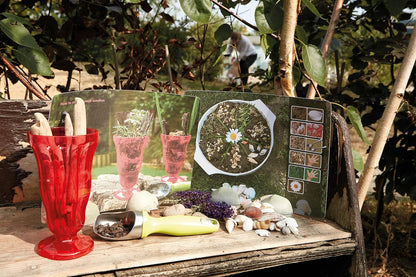 Mud Kitchens Activity Cards