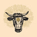 Torozebu