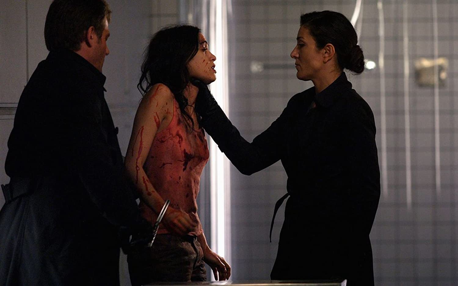PASCAL LAUGIER - MARTYRS - DAS ORIGINAL