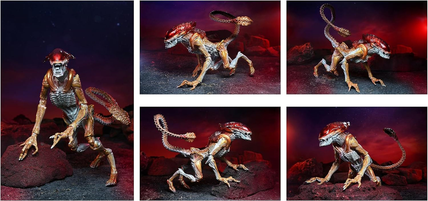 Aliens: Kenner Tribute Ultimate Panther Alien 7" Action Figure