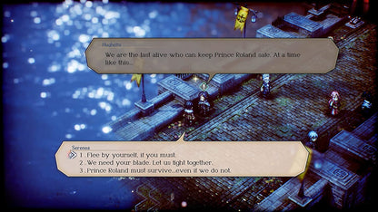 Project Triangle Strategy (Nintendo Switch) Nintendo Switch Standard