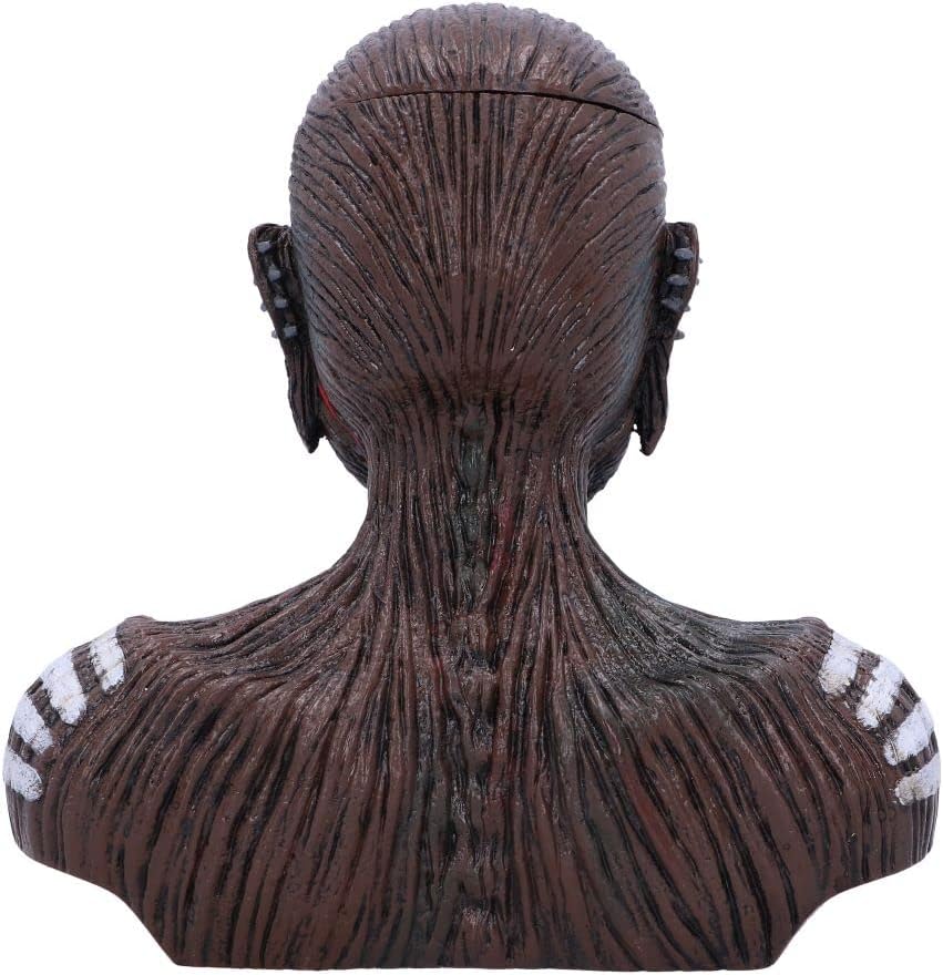 Nemesis Now Officially Licensed Iron Maiden The Book of Souls Bust Box (Small) Brown, 11.5cm