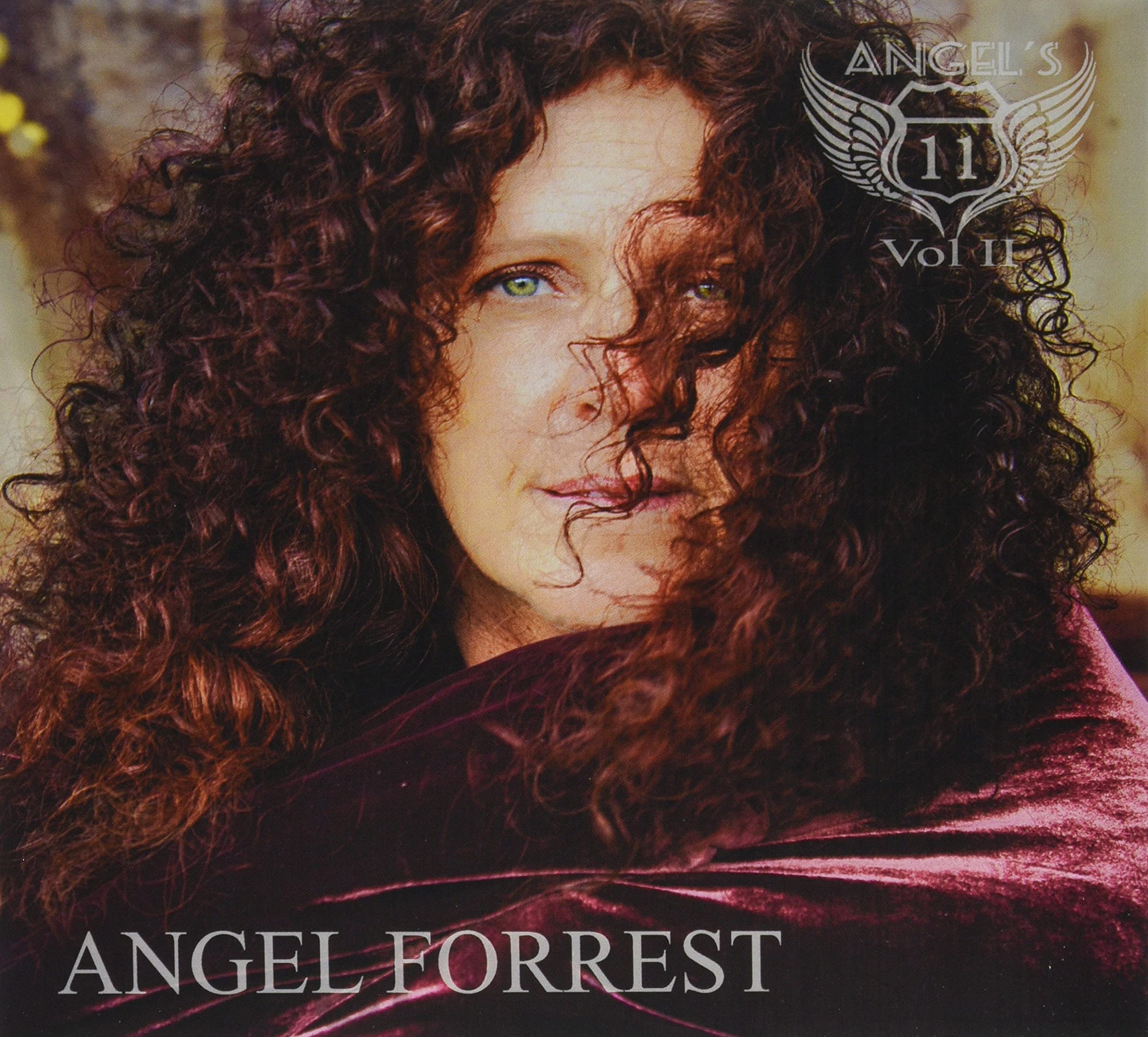Angel's 11 Vol II