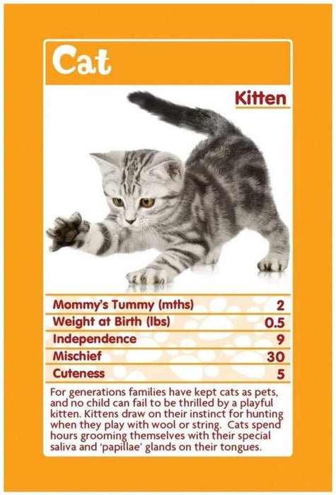 Top Trumps Classics Baby Animals /Toys