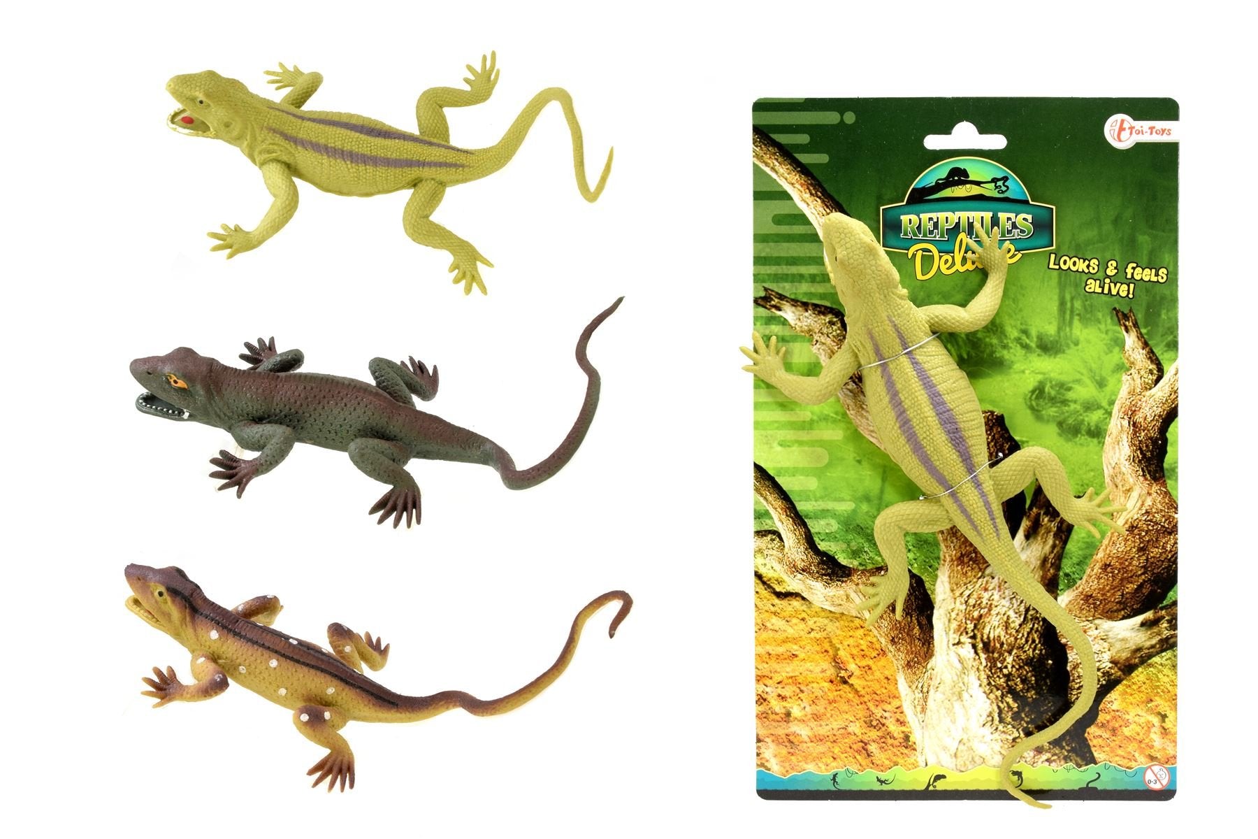Toi-Toys 37640Z Checked Reptiles Card Games, Multi-Colour