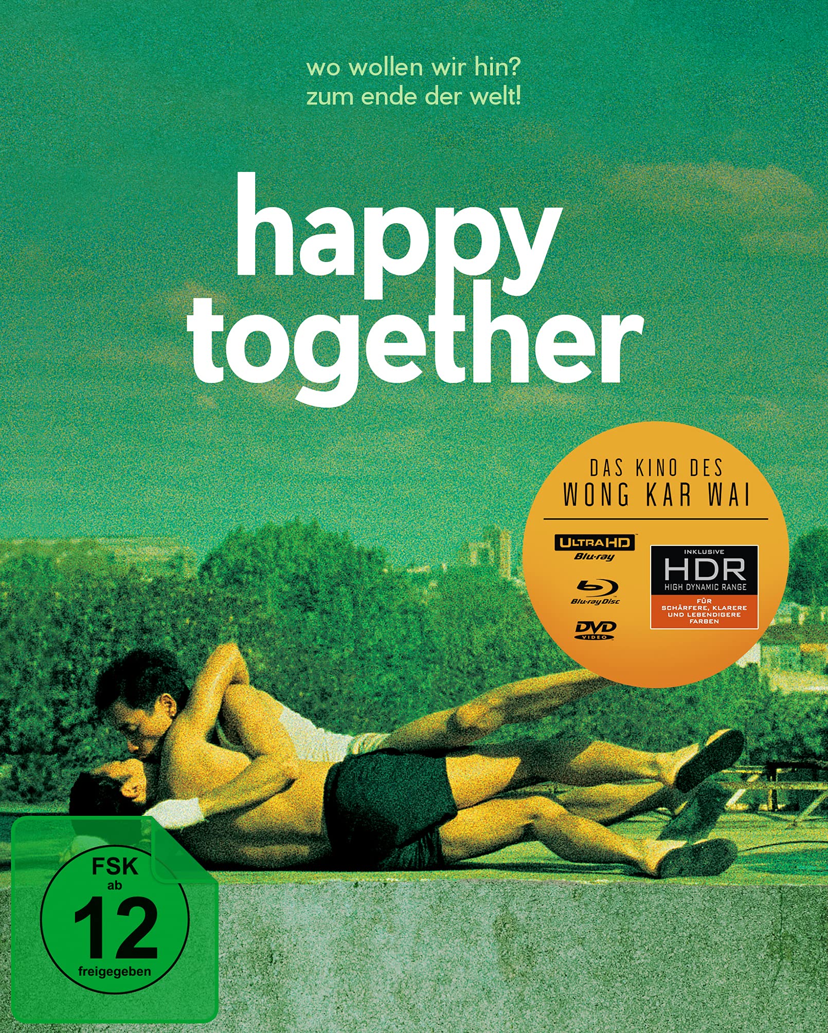 Happy Together (Wong Kar Wai) (Special Edition)