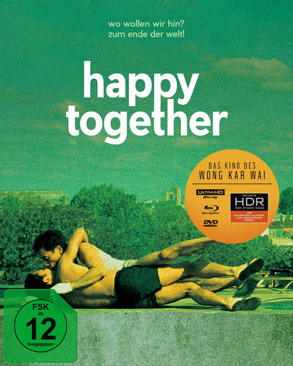 Happy Together (Wong Kar Wai) (Special Edition)