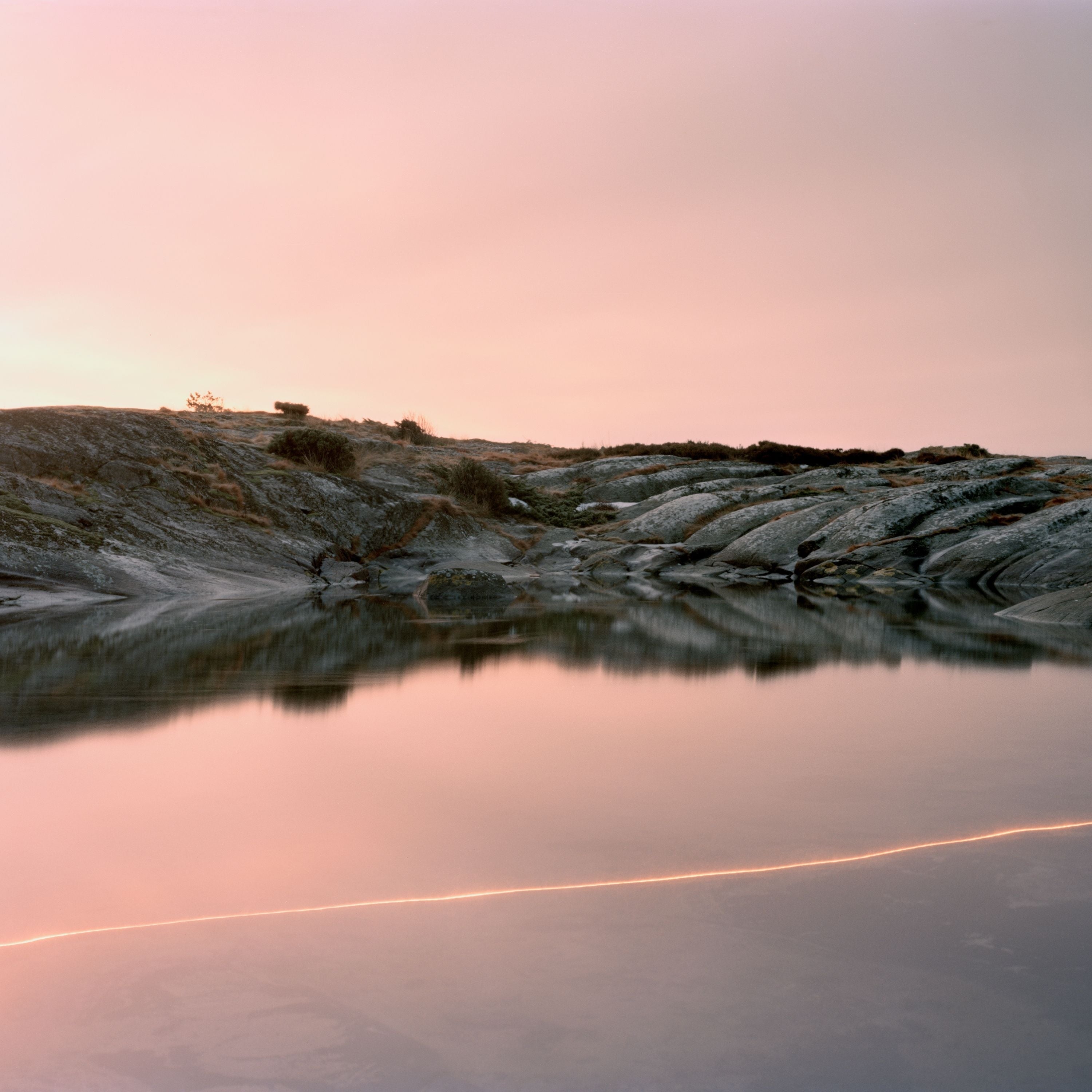 (An Overview On) an Overview On Phenomenal Nature