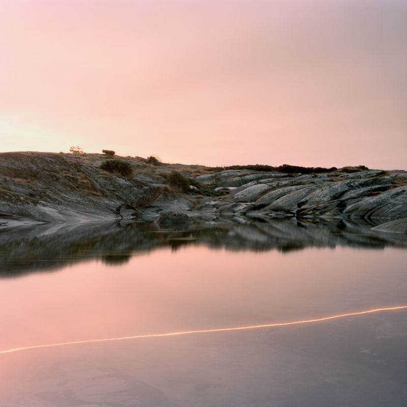 (An Overview On) an Overview On Phenomenal Nature