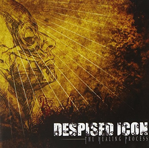 Despised Icon-Healing Process