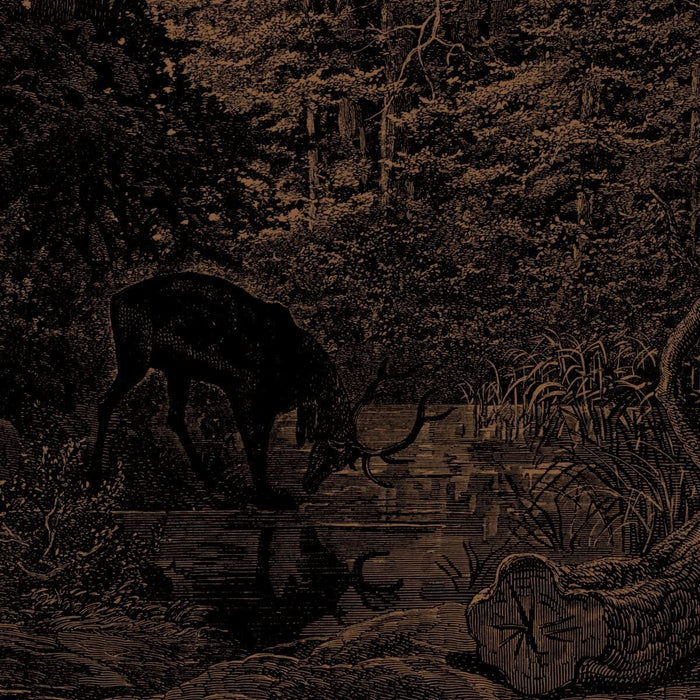 Of Stone, Wind & Pillor