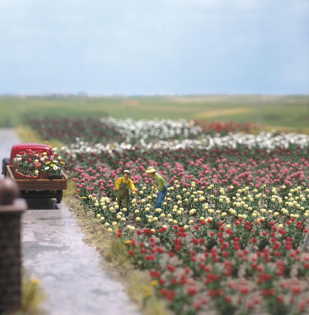 120 Roses