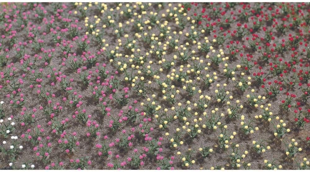 120 Roses