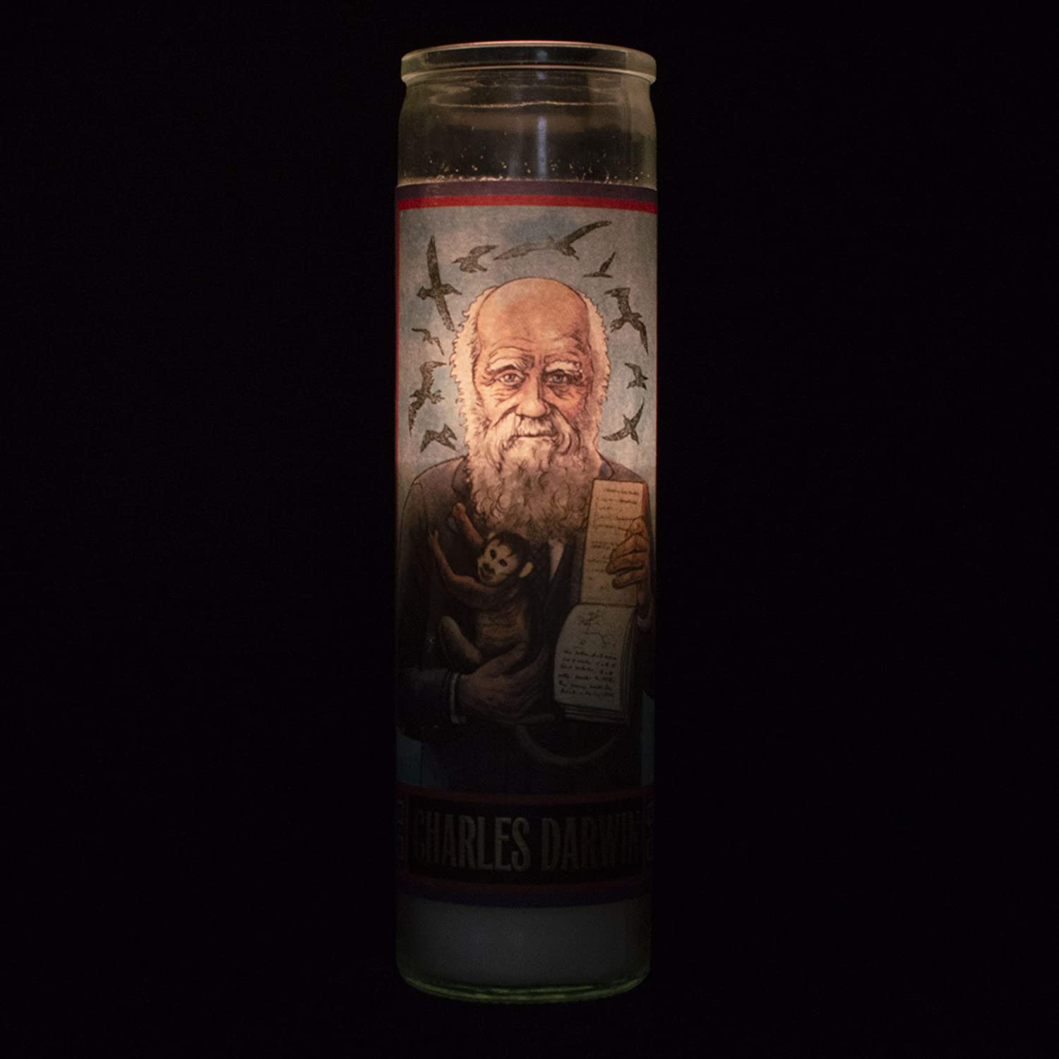 Charles Darwin Secular Saint Candle - 8.5 Inch Glass Prayer Votive - [Dutch Import]