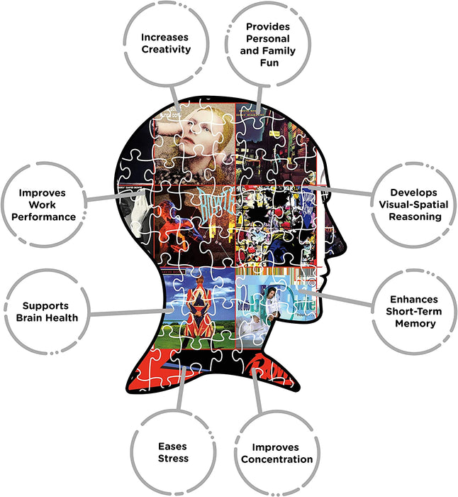 Licensed 65330 David Bowie Albums 1000 Piece Jigsaw Puzzle, Multi-Colored